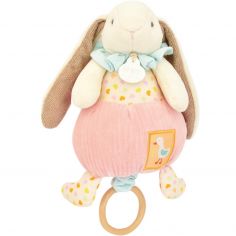 Peluche musicale Lapin Ciboulette Dans mon jardin (20 cm) - Doudou et Compagnie