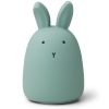 Veilleuse Winston Rabbit Peppermint (13 cm)  par Liewood