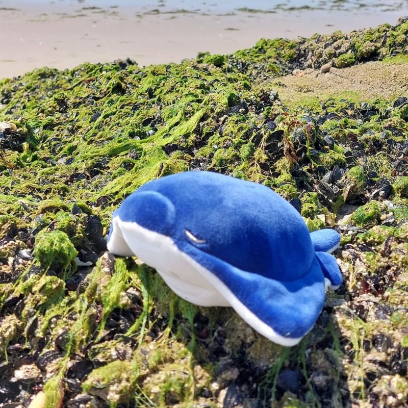 Porte-clé peluche Nemu Nemu Eita la Raie Manta (18 cm) Trousselier Ambiance 7