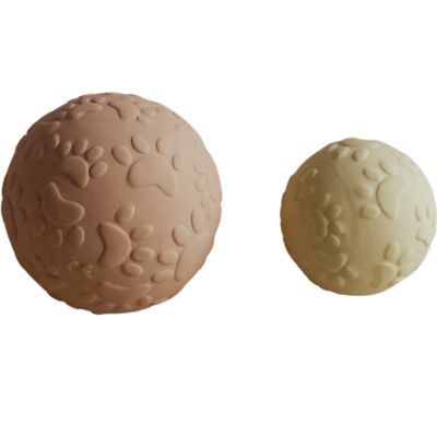 Lot de 2 balles sensorielles Paws