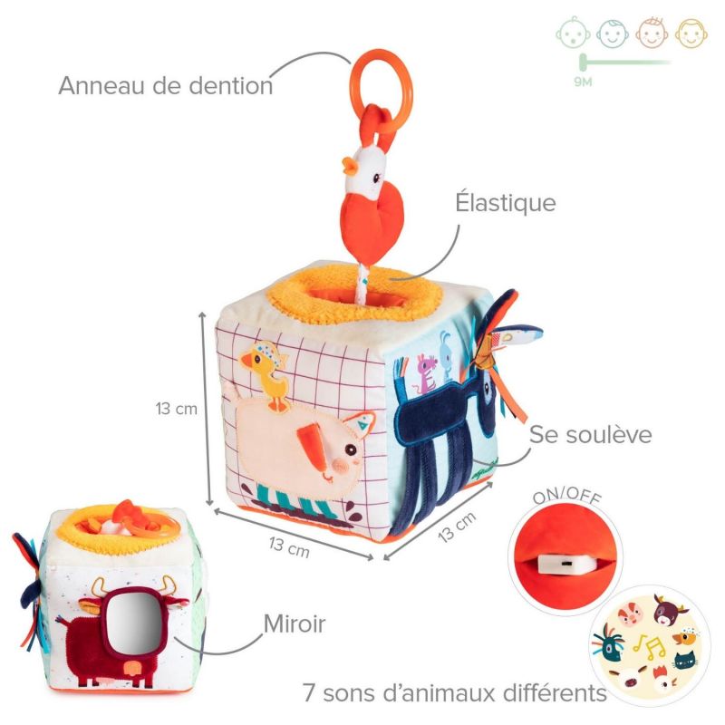 Cube d'activités Ferme Lilliputiens Produit 9