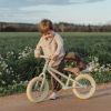 Draisienne green matte Little Dutch Ambiance 7