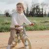 Draisienne green matte Little Dutch Ambiance 8