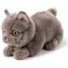 Peluche Freddy le Brittish Shorthair (20 cm) BT Chaps Produit 1