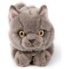 Peluche Freddy le Brittish Shorthair (20 cm) BT Chaps Produit 2
