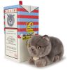 Peluche Freddy le Brittish Shorthair (20 cm) BT Chaps Packaging 3