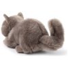 Peluche Freddy le Brittish Shorthair (20 cm) BT Chaps Produit 4
