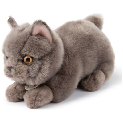 Peluche Freddy le Brittish Shorthair (20 cm) BT Chaps