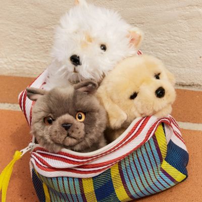 Peluche Freddy le Brittish Shorthair (20 cm)