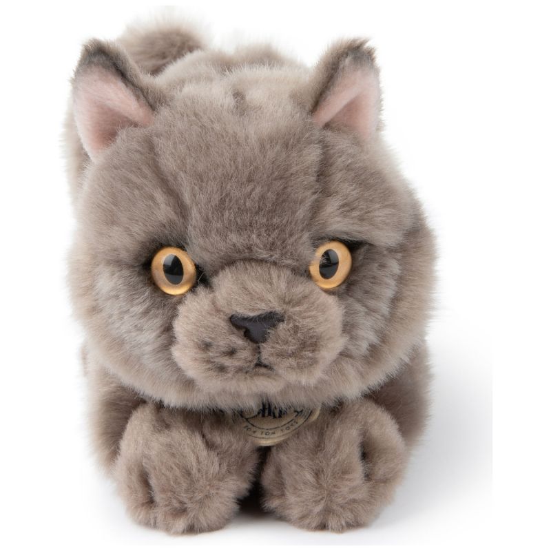 Peluche Freddy le Brittish Shorthair (20 cm) BT Chaps Produit 2