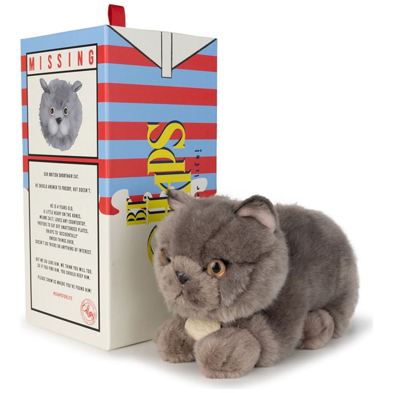 Peluche Freddy le Brittish Shorthair (20 cm) BT Chaps Packaging 3