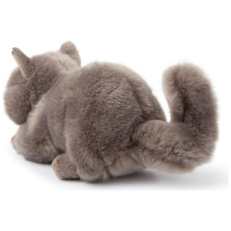 Peluche Freddy le Brittish Shorthair (20 cm) BT Chaps Produit 4