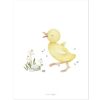 Affiche caneton Little duck (30 x 40 cm)  par Lilipinso