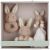 Variation Beige, blanc du produit Coffret cadeau de naissance Baby bunny de la marque Little Dutch