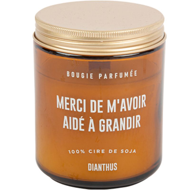 Bougie cire de soja Merci de m'avoir aidé à grandir - Reconditionné Arty Fêtes Factory