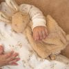 Doudou Lapin Baby bunny  par Little Dutch