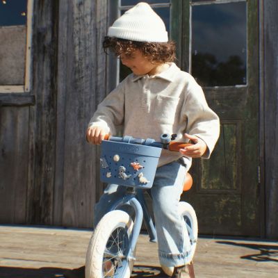 Pins pour panier de vélo Dinosaures