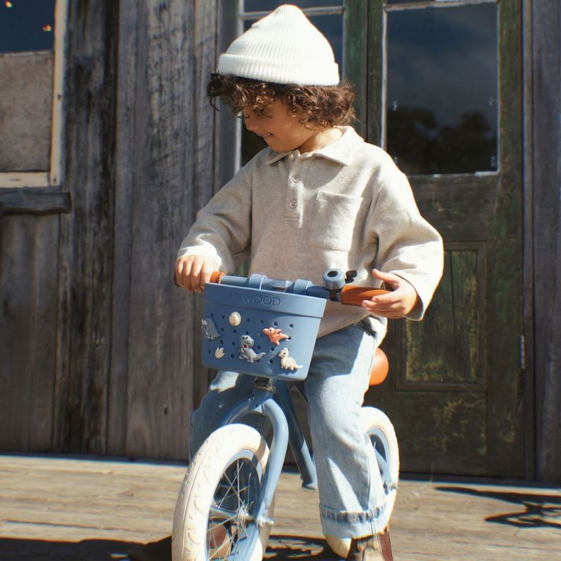 Pins pour panier de vélo Dinosaures Banwood Ambiance 2