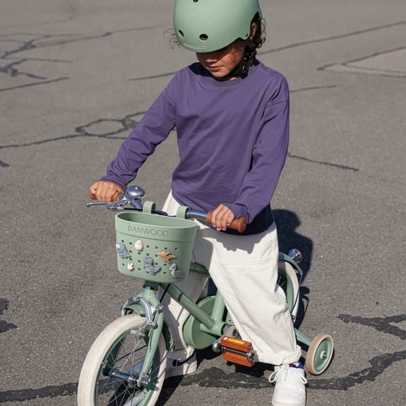 Pins pour panier de vélo Dinosaures Banwood Ambiance 5