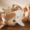 Doudou attache sucette Bunny Riverside  par Jollein