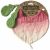 Variation Vert, Violet du produit Bavoir Ramona The Radish de la marque Oli & Carol