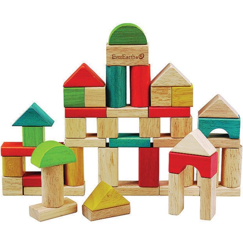 Blocs de construction (50 cubes) EverEarth