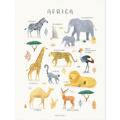 Affiche Animaux d'Afrique (30 x 40 cm)  par Lilipinso