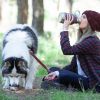 Gourde isotherme pour chien 2 en 1 Bordeaux (1 litre) Asobu Ambiance 2