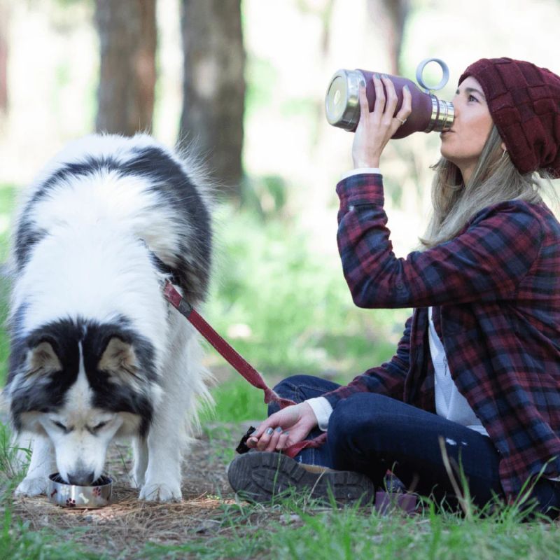 Gourde isotherme pour chien 2 en 1 Bordeaux (1 litre) Asobu Ambiance 2