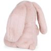 Peluche Lapin Bubbles Ballet Rose (23 cm) BT Chaps Produit 4