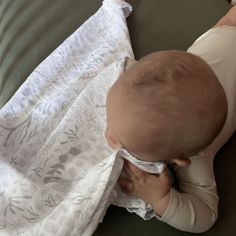 Lange Yukari Tilleul (70 x 70 cm)