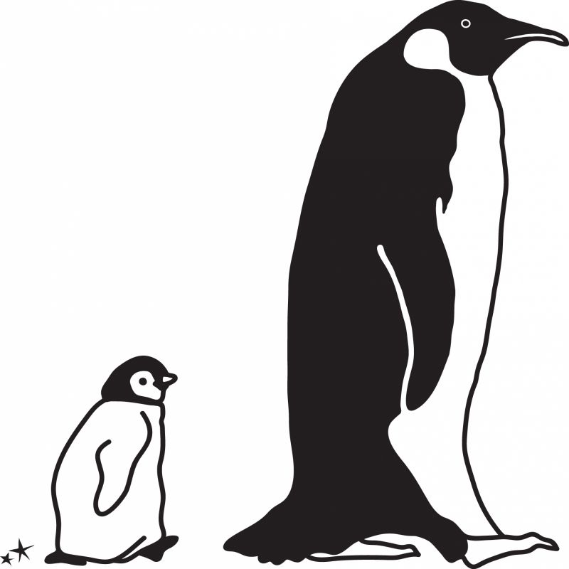 Stickers mural pingouin et fils (50 cm) Mimi'lou