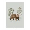 Affiche ours Little Bear (30 x 40 cm) - Lilipinso