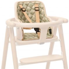 Coussin Pour Chaise Haute Bébé – Housse En Cuir PU Lavable, Compatible Peg Perego, Baoneo, Siesta (plusieurs Coloris)