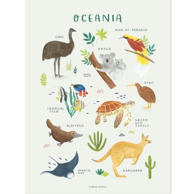 Affiche Animaux d'Océanie (30 x 40 cm)  par Lilipinso