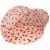 Variation Ecru, rouge, vert du produit Mini tente anti-UV Fragola de la marque Konges Slojd