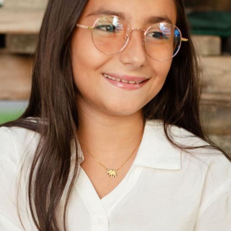 Collier Éléphant (Plaqué or 18 carats) Mava Ambiance 2