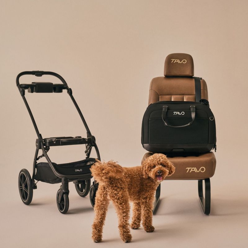 Sac de transport pour avion et siège auto pour animaux de compagnie HENDRICK ONYX Tavo Ambiance 8