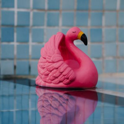 Jouet de bain en hévéa Flamant rose : Natruba