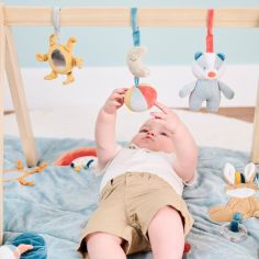 Arche d'activités en bois Felix et Léo