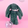 Peluche Lapin Fleurette Eucalyptus (25 cm) Doudou et Compagnie Ambiance 3