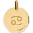 Médaille zodiaque Cancer personnalisable (or jaune 375°) - Lucas Lucor