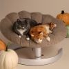 Lit pour animaux de compagnie et fauteuil suspendu SHELL CARAMEL Tavo Ambiance 1
