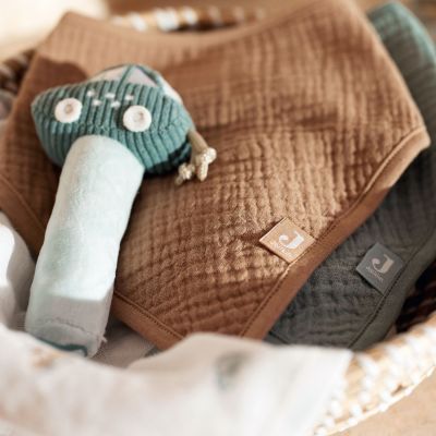 Lot de 2 bavoirs bandana gaze de coton Sea Green-Biscuit