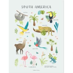 Affiche Animaux d'Amérique du Sud (30 x 40 cm) - Lilipinso