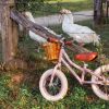 Draisienne First Go Dusty Pink Banwood Ambiance 2