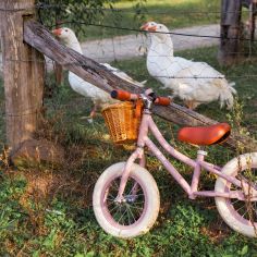 Draisienne First Go Dusty Pink