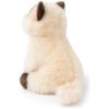 Peluche Eddie le Siamois (17 cm) BT Chaps Produit 4