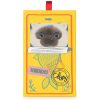Peluche Eddie le Siamois (17 cm) BT Chaps Packaging 8