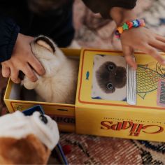 Peluche Eddie le Siamois (17 cm)